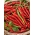 Paprika "Posejdon" - vruće - 70 sjemenki - Capsicum L. - sjemenke