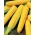 Сладка царевица "Златен бантам"; Захарна царевица, царевица полюс - 100 семена - Zea mays convar. saccharata var. Rugosa