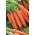Carrot Rote Riesen 2 - neskorá odroda - 