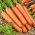Морков Long Red Stumps - късен сорт - 
