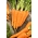 Морковь «Флаккезе 2» - поздний сорт. - 