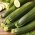 Zucchini (zucchini) och gurkfrön - urval av 4 sorter - 