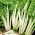Burokėliai lapiniai - Lukullus - žalias - 225 sėklos - Beta vulgaris var. cicla.