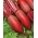 Sfeclă "Kier" - rădăcini cilindrice, lungi - 500 de semințe - Beta vulgaris