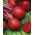 Cikla 'Okragly Ciemnoczerwony' - 500g sjemena (Beta vulgaris)