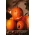 Calabaza decorativa - Jack O'Lantern - 16 semillas - Cucurbita pepo