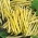 لوبیای کوتوله ای فرانسه "Golden Teepee" - متوسط اوایل - 120 دانه - Phaseolus vulgaris L.