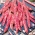 Νάνος φασόλια "Borlotto rosso" - πολύχρωμα λοβό και σπόροι για ξηρούς σπόρους - 
