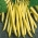 لوبیای زرد فرانسوی "Maxidor" - انواع خوشمزه و بی روح - 120 دانه - Phaseolus vulgaris L.