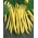 Sarı Fransızca fasulye "Maxidor" - lezzetli ve ipsiz çeşidi - 120 tohum - Phaseolus vulgaris L. - tohumlar