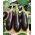 Баклажани 'Віолетта Лунга 3'; баклажани -  Solanum melongena - насіння