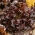 レタス赤サラダボウルの種子 -  Lactuca sativa  -  1150種子 - Lactuca sativa L. var. longifolia - シーズ