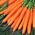 Морква "Олімп" - пізній, смачний сорт - 4250 насіння - Daucus carota