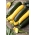 Sommersquash - blandet udvalg - 100 g frø (Cucurbita pepo)