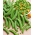 Cukurzirņi 'Ambrosia' - 500 g sēklas (Pisum sativum)
