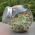 Jar sprouter - 400 ml kiembak - 6 stuks + GRATIS CADEAU - 