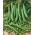 Semi di pisello precoce - Pisum sativum - 200 semi