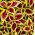 Coleus, ζωγραφισμένοι σπόροι τσουκνίδας - Plectranthus scutellarioides - 330 σπόροι