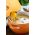 白胡桃南瓜种子 - 西葫芦最大 -  16粒种子 - Cucurbita moschata - 種子