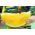 Sarı Karpuz Janosik tohumları - Citrullus lanatus - 14 tohumları