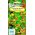 Mock תות, זרעי תות שדה הודי - Duchesnea אינדיקה - 250 זרעים - Potentilla indica