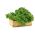 Boerenkool - Dwarf Green Curled - 300 zaden - Brassica oleracea L. var. sabellica L.