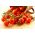 Насіння томатної ідилії - Lycopersicon lycopersicum - 80 насінин - Lycopersicon esculentum Mill  - насіння