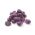 Purple ružičkový kel - semená Brassica oleracea convar. oleracea var. gemmifera - 96 semien - Brassica oleracea var. gemmifera