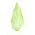 Conehead Cabbage seeds - Brassica oleracea var. capitata - 210 seeds