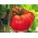 עגבניות Raspberry Giant זרעים - Lycopersicon lycopersicum  - Lycopersicon esculentum Mill.