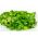コーンサラダ、マッシュ種 -  Valerianella locusta  -  1700種 - シーズ