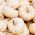 Abóbora Decorativa - Baby Boo - 33 sementes - Cucurbita pepo