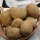 Seed potatoes - Vineta - early variety - 12 pcs