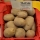 Seed potatoes - Tajfun - medium early variety - 12 pcs