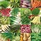 Smak Natury - zestaw warzyw dla wymagających - 20 opakowań nasion