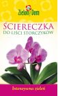 Orchidee blad veeg - levendig groen - 