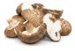 Shiitake - longevity mushroom; sawtooth oak mushroom, black forest mushroom, black mushroom, golden oak mushroom, oakwood mushroom - 20 plugs