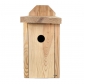 Birdhouse per tette, passeri d'albero e pigliamosche - da montare su pareti - legno grezzo - 