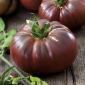 Tomat - Noire de Crimee - Lycopersicon esculentum Mill  - frø