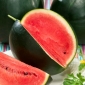 Vattenmelon - Sugar Baby - 23 frön - Citrullus lanatus