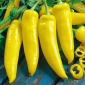 Paprika - Hungarian yellow wax hot - 70 zaden - Capsicum L.