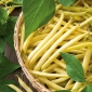 Патуљасти француски жути пасуљ "Бергголд" - 200 семена - Phaseolus vulgaris L.
