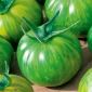 Tomate -  Green Zebra - vert - Lycopersicon esculentum Mill.  - graines