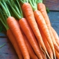 Carrot "Regulska" - late, universal variety - 4250 seeds