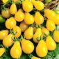 Tomaatti - Yellow Pearshaped - keltainen - 120 siemenet - Lycopersicon esculentum Mill