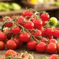 Tomate cereja - Idyll - 80 sementes - Lycopersicon esculentum Mill