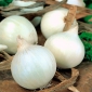 Цибуля "Алібаба" - білий, ніжний сорт для тривалого зберігання - 750 насіння - Allium cepa L.