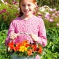 Happy Garden - "Farebná záhrada Nasturtium" - Semená, ktoré deti môžu rásť! - 24 semien - Tropaeolum majus