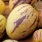 البطيخ الكمثرى ، بذور البيبينو - Solanum muricatum - 11 بذور - ابذرة