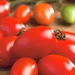 Tomate - Szejk (Šejk) - Lycopersicon esculentum Mill  - semillas